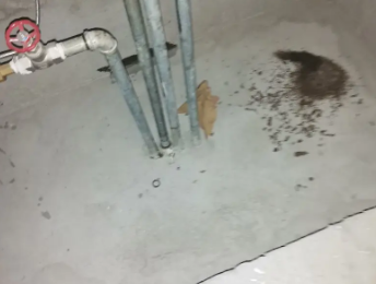 沾益卫生间测漏水价格明细