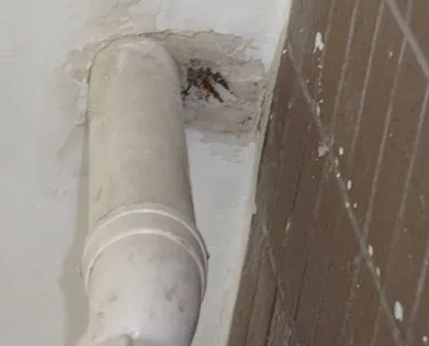 沾益漏水检测哪家好